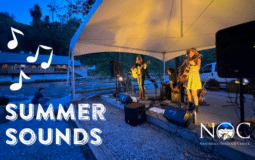 This is a graphic for Nantahala Outdoor Center's Summer Sounds.