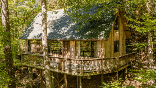wooden cabin surrounded be trees and greenery