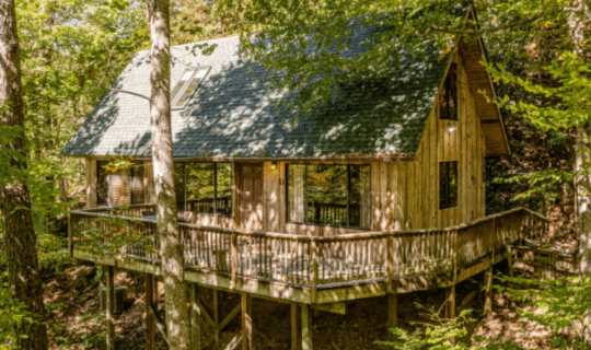 wooden cabin surrounded be trees and greenery