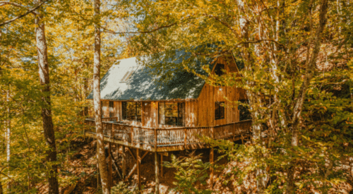 A wooden cabin immersed in fall foilage trees.