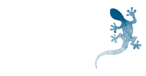 blue-lizard-refresh-logo_white-horizontal