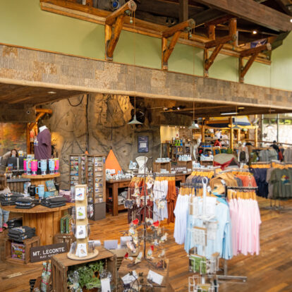 07222025_napier_gatlinburg-4459-edit-1-copy