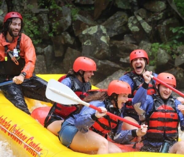 screenshot_30-12-2025_163446_noc-com