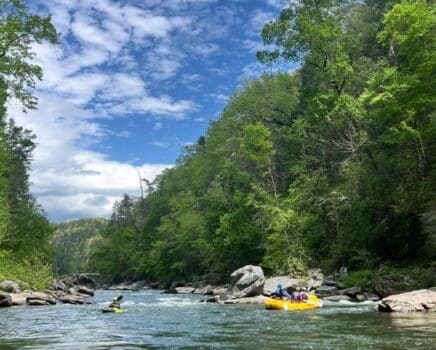 The Chattooga River surrounded by dense forests and free-flowing white water.