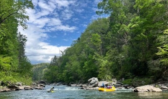 The Chattooga River surrounded by dense forests and free-flowing white water.