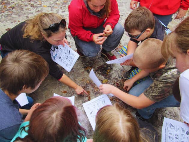 Student Group Education at NOC