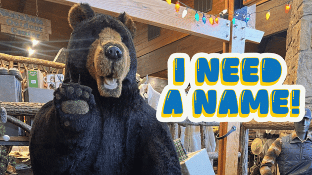 Stuffed Bear Mascot at NOG Gatlinburg needs a name!
