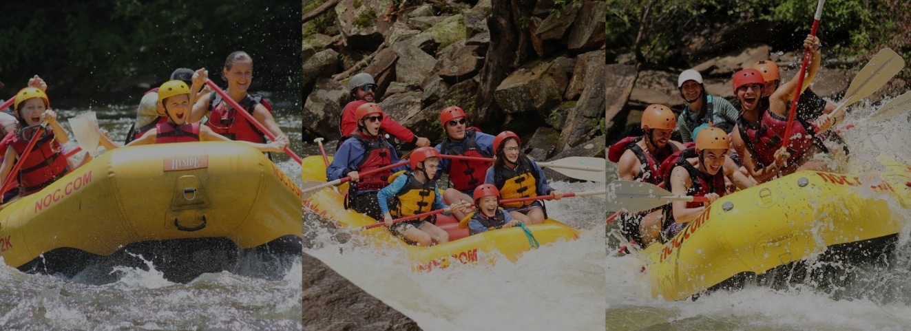 screenshot_17-4-2026_10140_www-canva-com