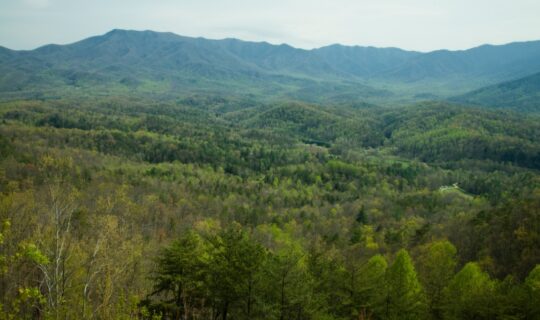 Views of green mountains from the Foothills Parkway in East Tennessee