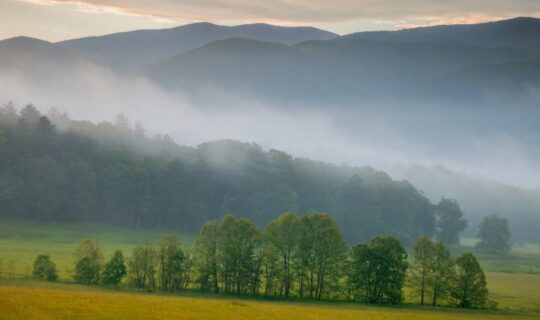 Cade's Cove in the Great Smoky Mountains National Park with meadows and misty mountains in the background.