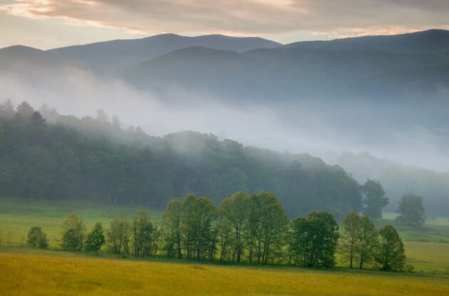 Cade's Cove in the Great Smoky Mountains National Park with meadows and misty mountains in the background.