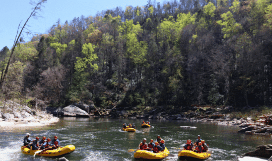 Spring White Water rafting trip on the Chattooga River, SC