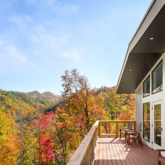 Fall Hemlocks View