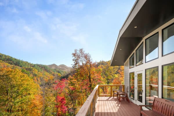 Fall Hemlocks View