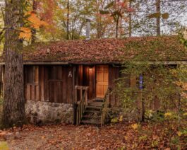 Fall Ash Cabin Exterior Entrance