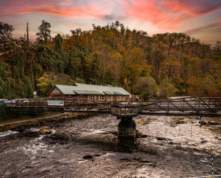 NOC in the fall