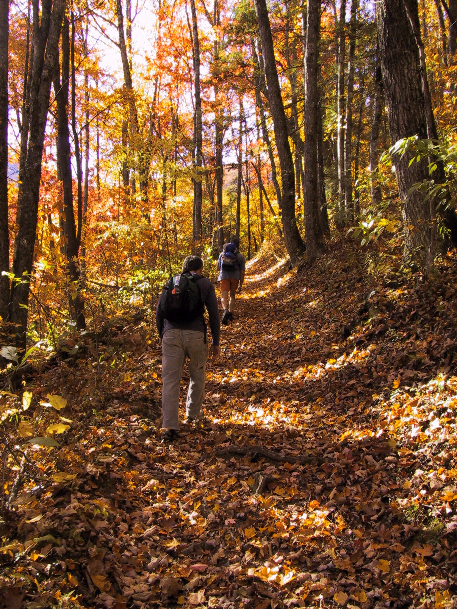 Fall hiking
