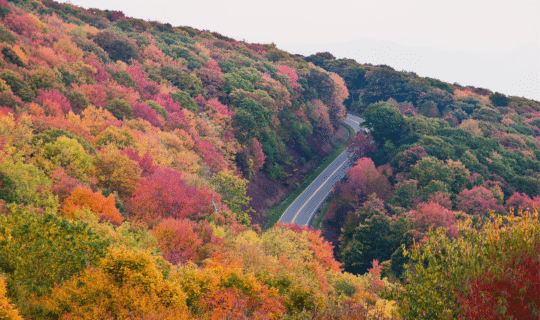 Cherohala Skyway