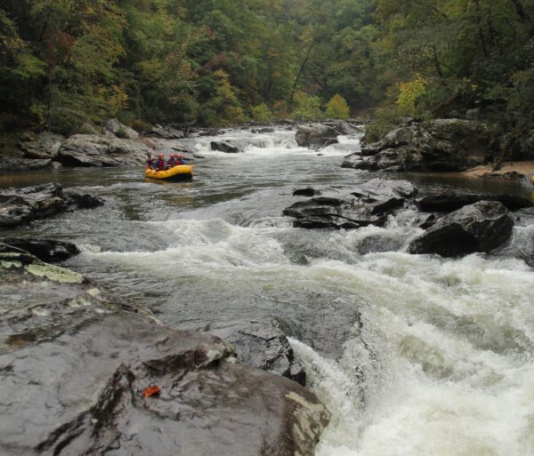 Chattooga River Rafting