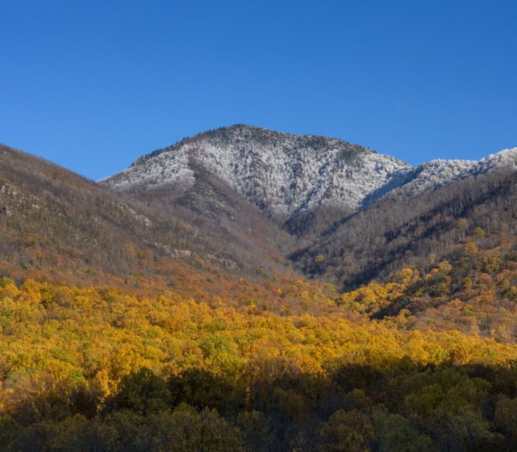 Mt. Leconte in late fall
