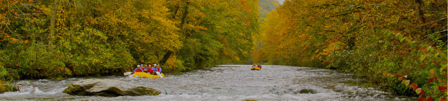 Nantahala River in the fall