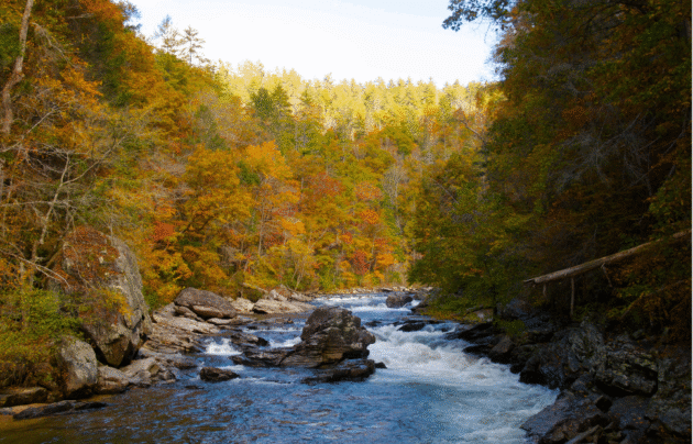 Chattooga in the Fall