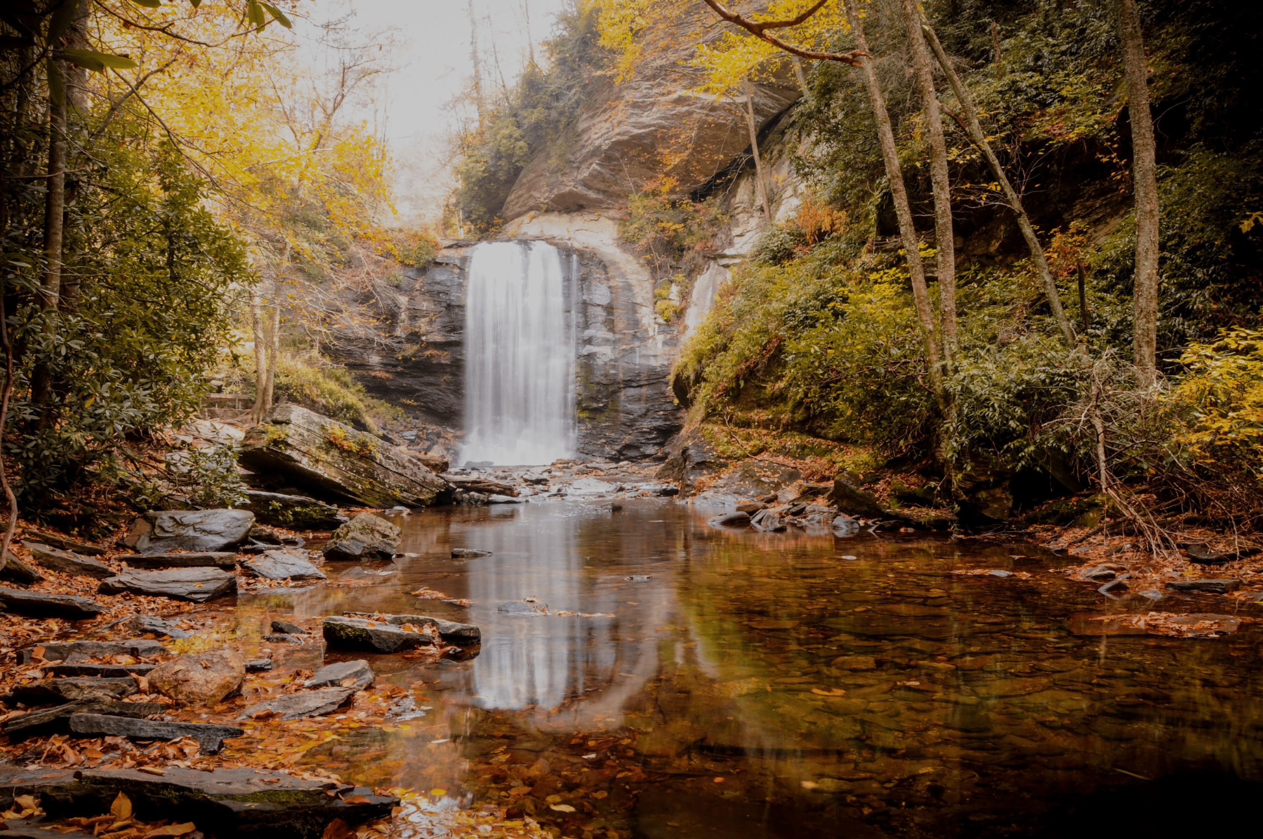 Looking Glass Falls in Autumn
